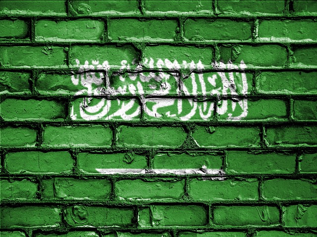 النقاط للتجنيس في السعودية
