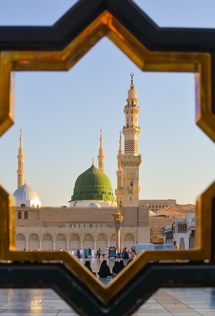تجنيس الكفاءات في السعودية