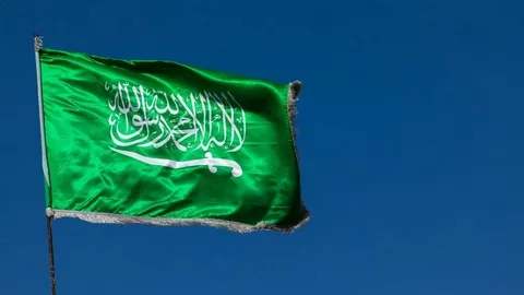 معقب تجنيس